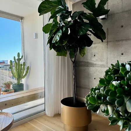 D'art Penthouse * Спліт